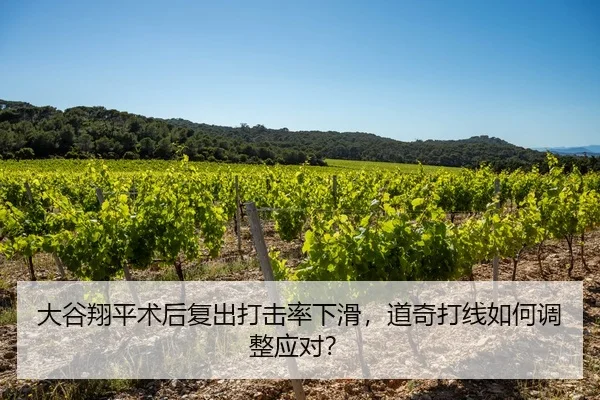 大谷翔平术后复出打击率下滑，道奇打线如何调整应对？